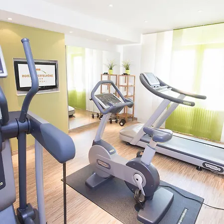 Scheffelhoehe Otel 4*